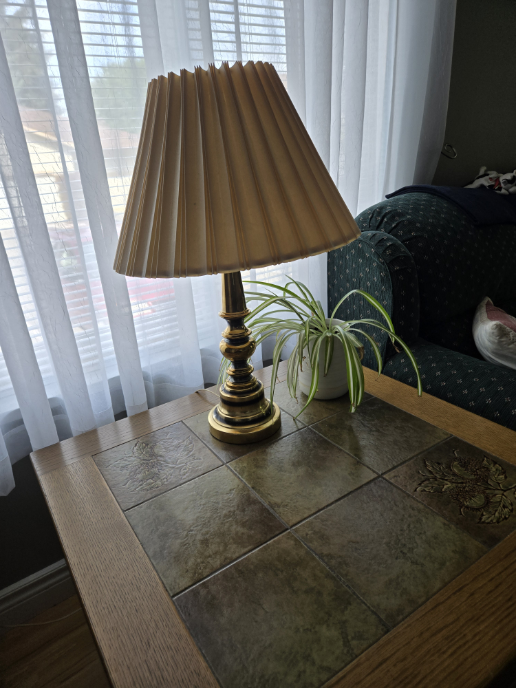 Vintage Lamp with Shade x2