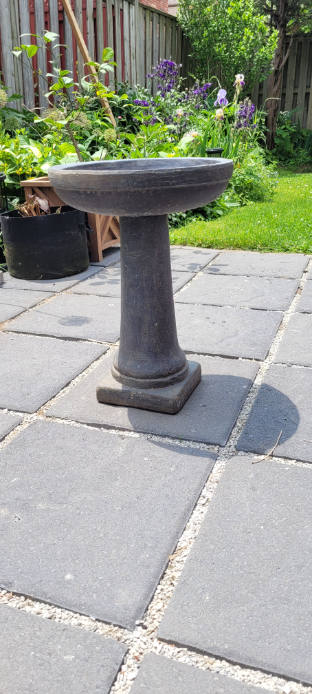 Angelo Décor 20-inch Mindoro Birdbath