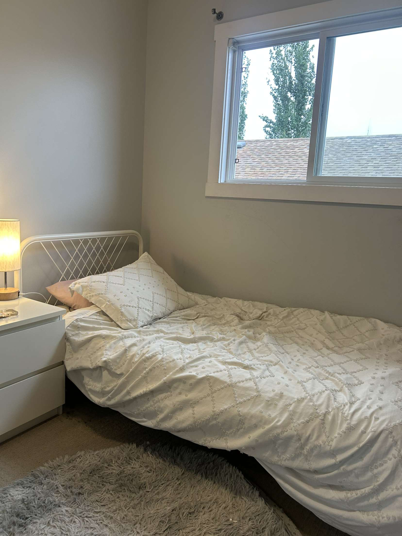 White Twin Bed Frame