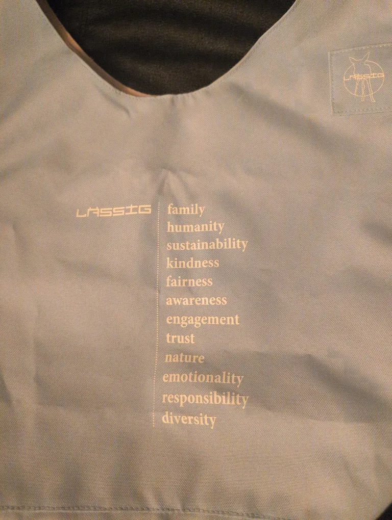 Lassig Grey/Blue Shoulder Bag 💚 image indicator(3)