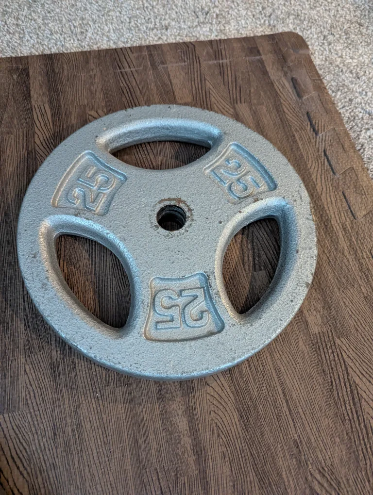 25 lb Weight Plate thumbnail
