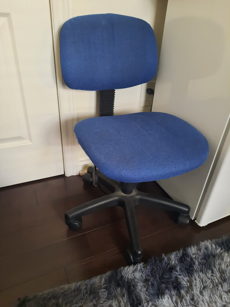 Blue Swivel Chair