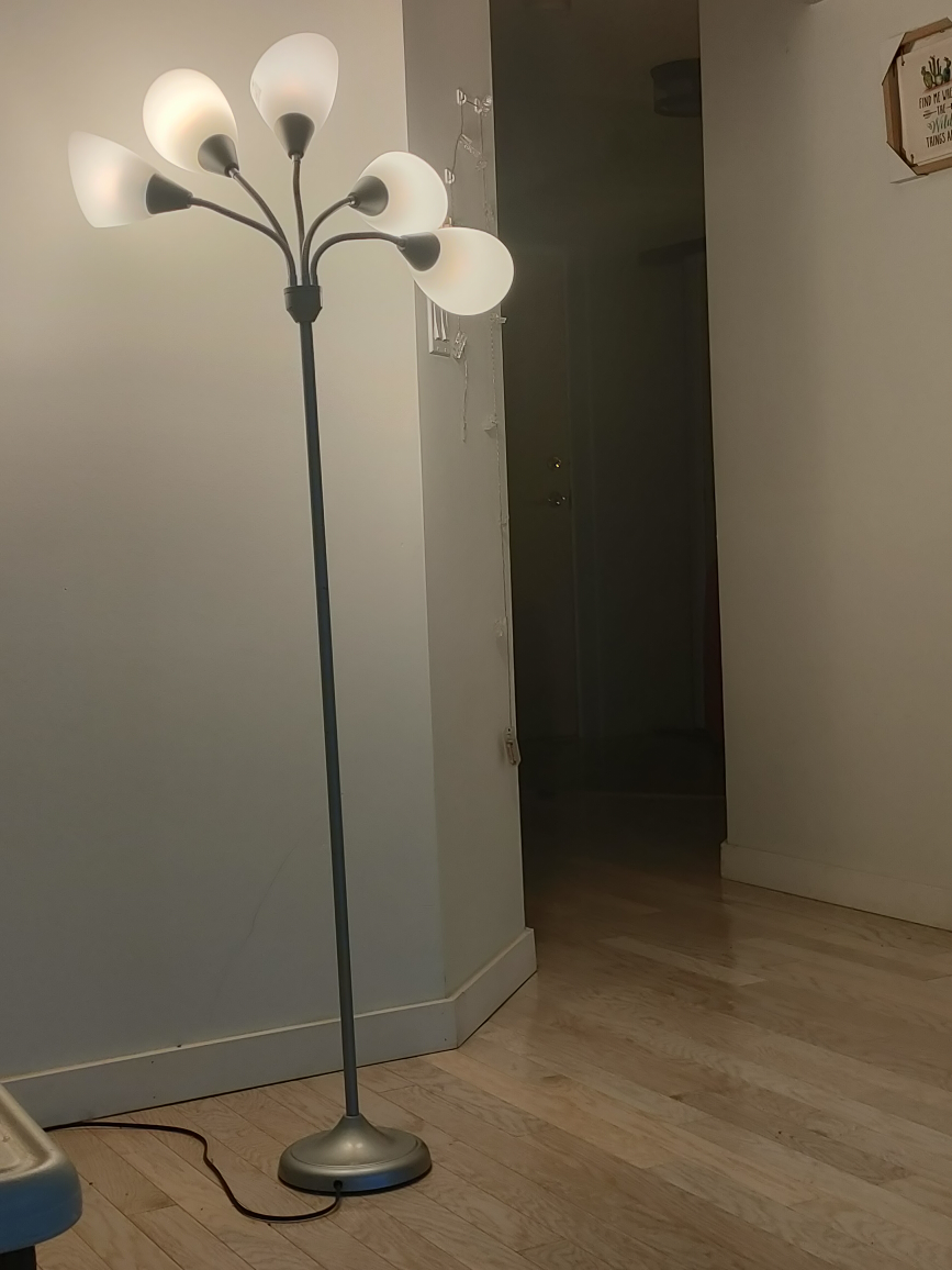 Floor Lamp with 5 Lights