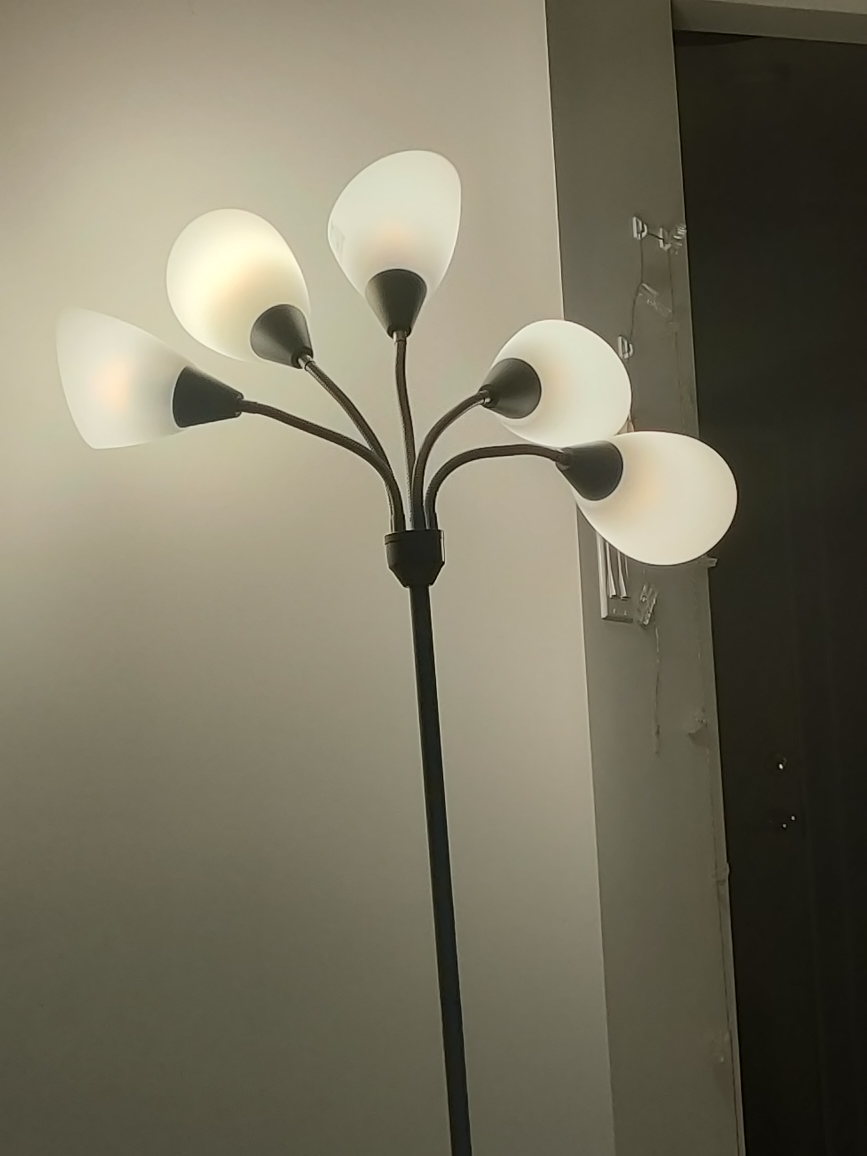 Floor Lamp with 5 Lights - photo 2