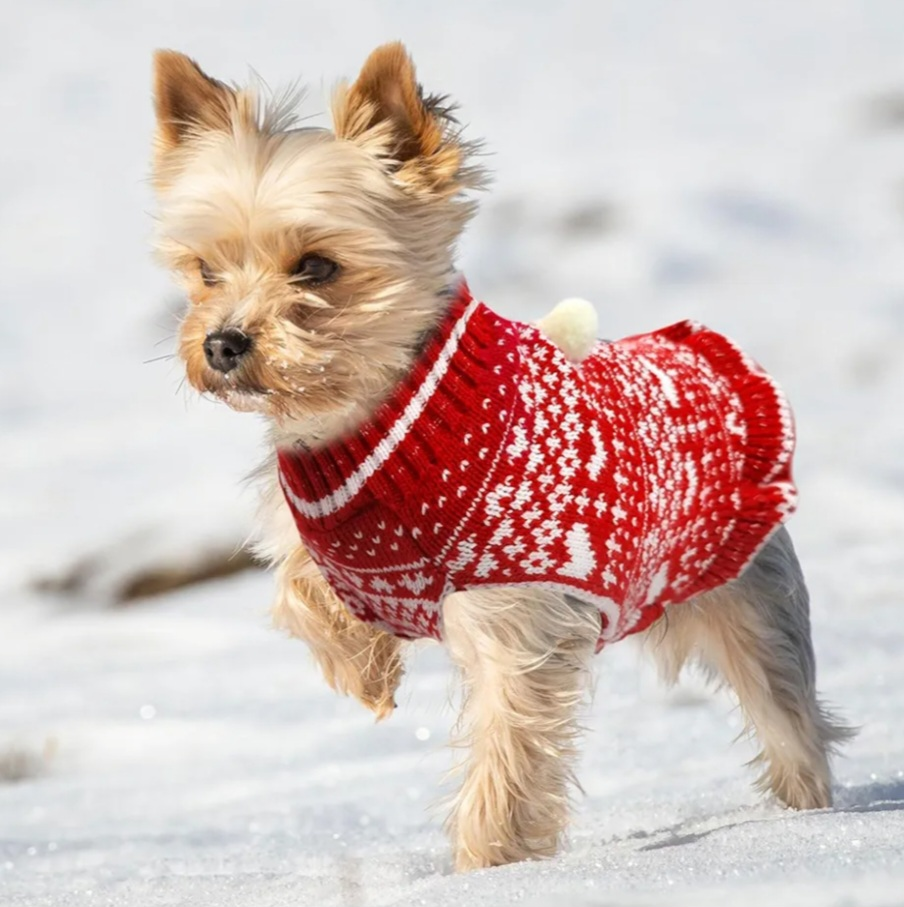 Red & White Knit Dog Sweater (Sizes M-L-XL) - photo 5