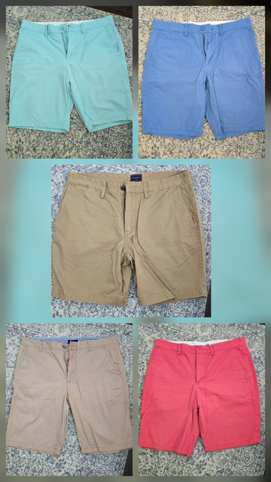 5 men Shorts - Assorted Colors all size 34 bundle