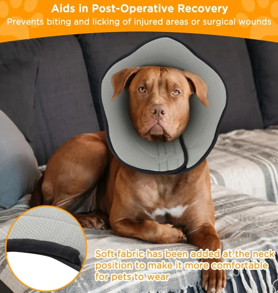 Dog Cone Collar - Size Small image indicator(7)
