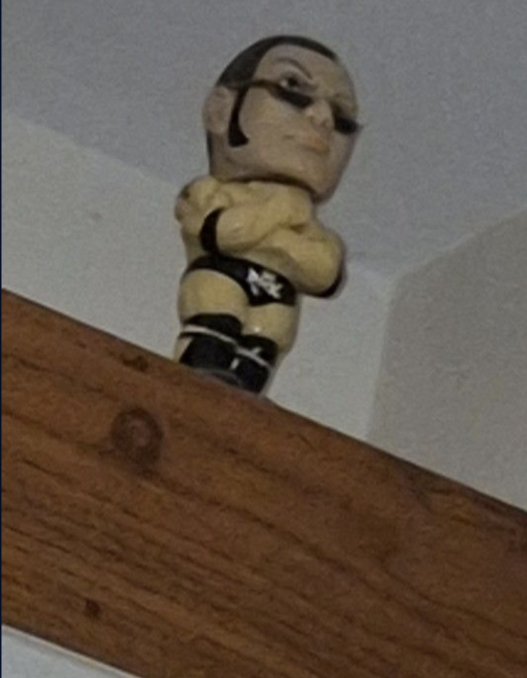 The rock bobble head