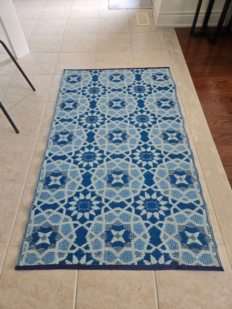 Blue Patterned Indoor/Outdoor Rug image indicator(2)