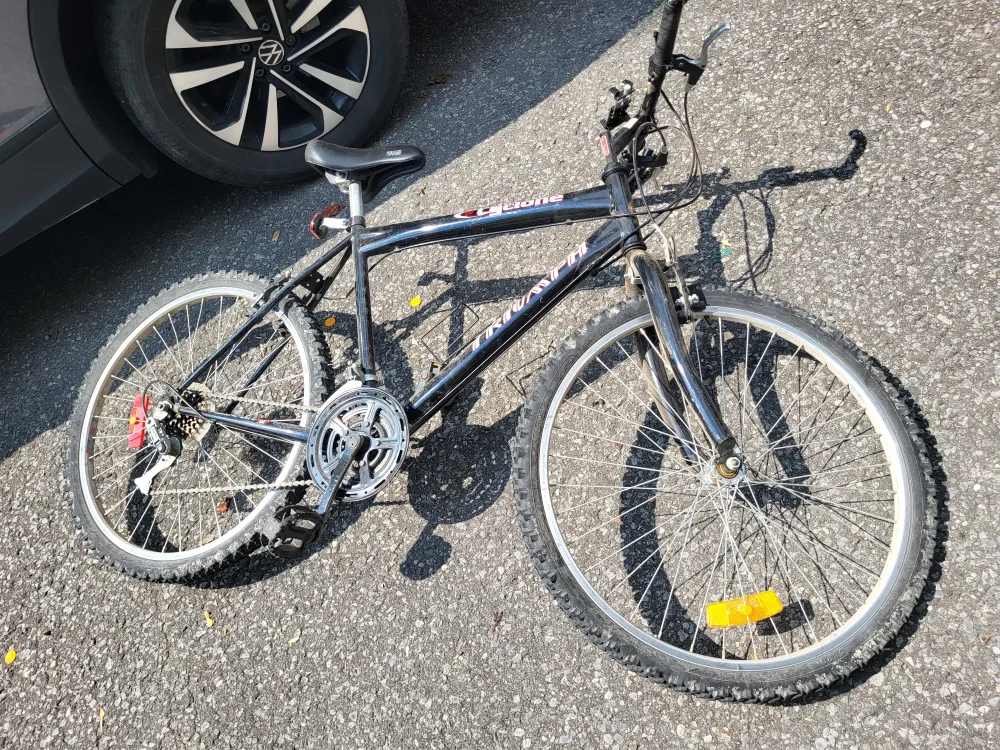 Triumph Cyclone Mountain Bike - Black image indicator(3)