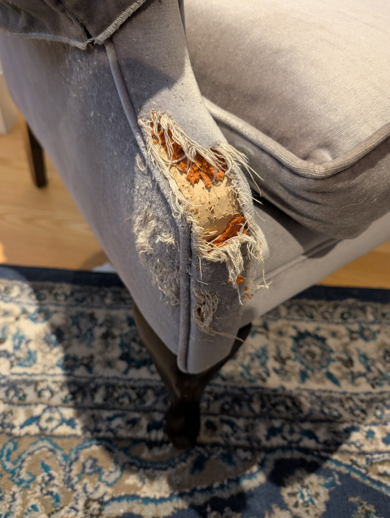 Wingback Chair - Damaged - photo 2