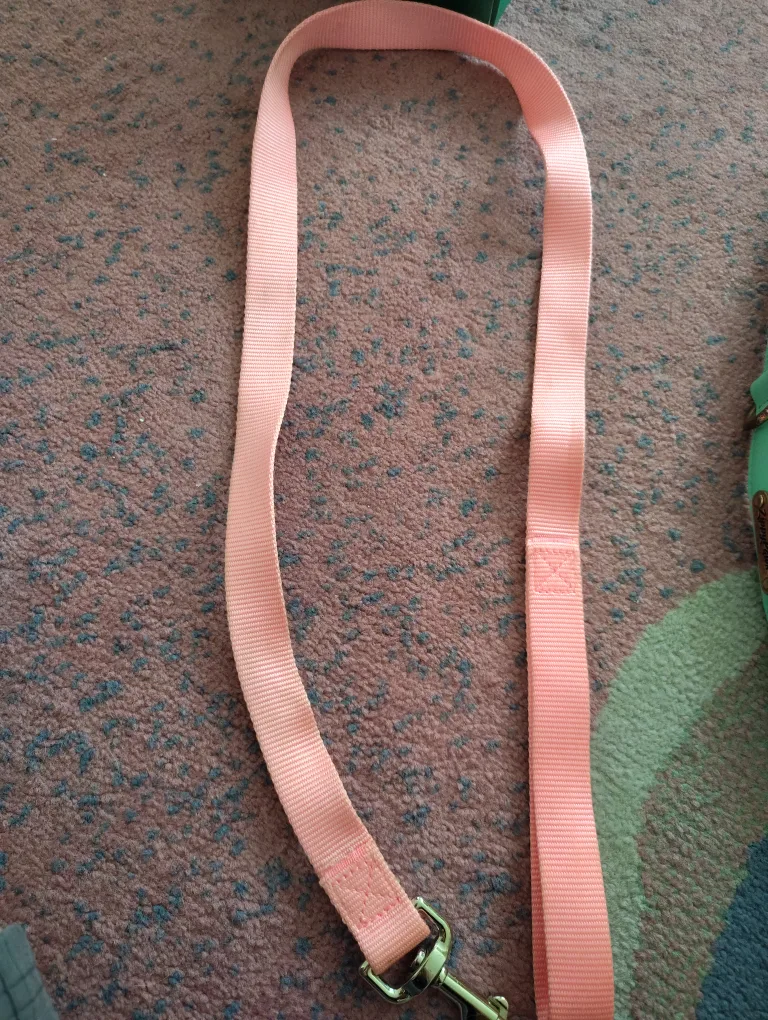 Dog Collars & Leashes thumbnail
