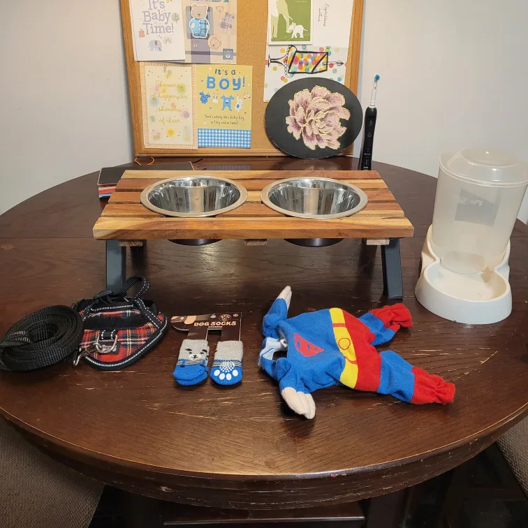 Everything (Dog Bowl Stand, Leash, Socks, Feeder) for $15 thumbnail
