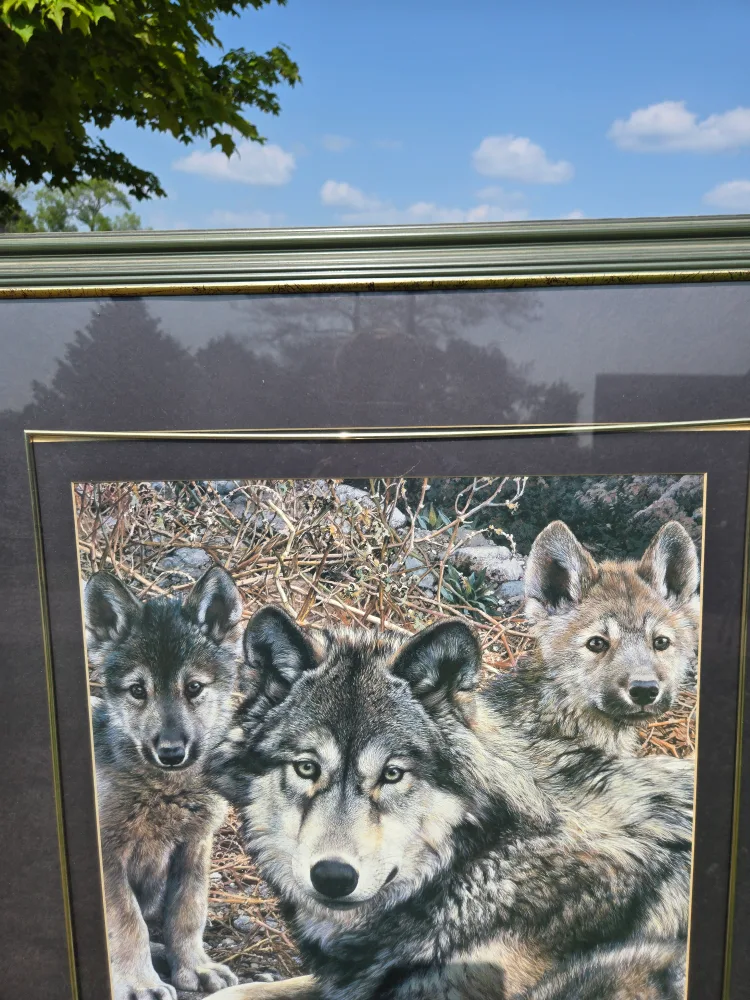 Framed Wolf Print image indicator(3)