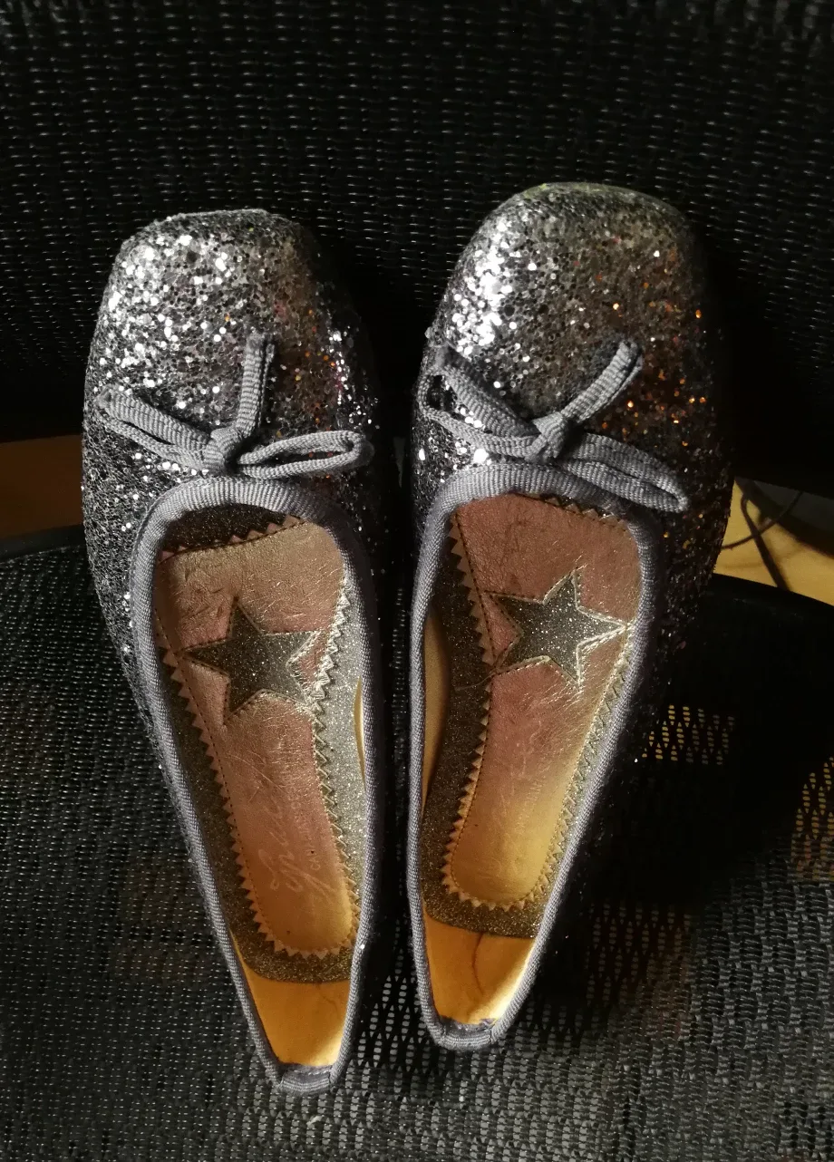 Sparkly Ballet Flats - Size 7 image indicator(4)