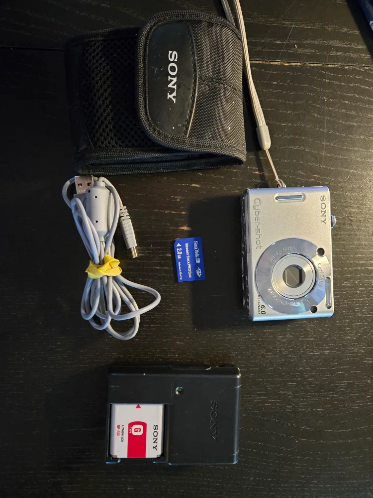 Sony Cyber-shot DSC-W30 6.0 MP Digital Camera image indicator(3)
