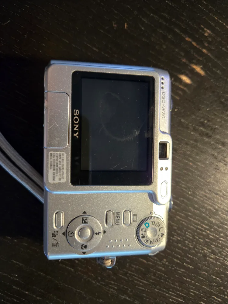 Sony Cyber-shot DSC-W30 6.0 MP Digital Camera image indicator(4)