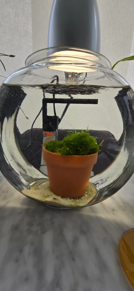 2 Gallon Fish Bowl with Light & Filter thumbnail