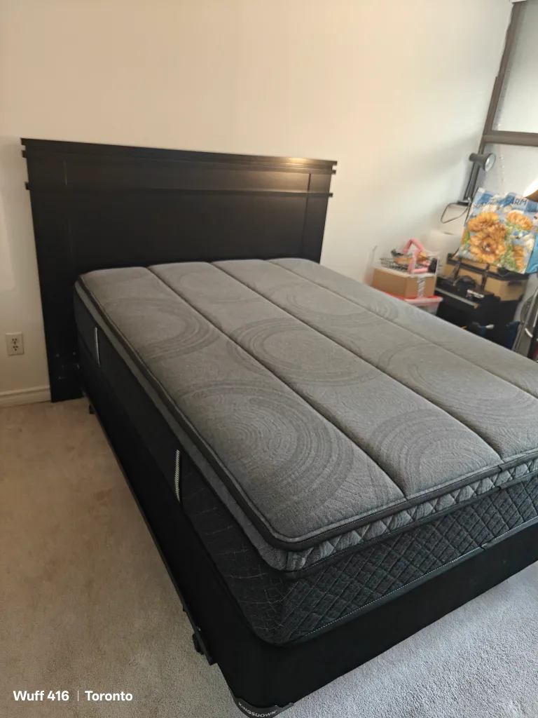 Full/Double Mattress and Box Spring