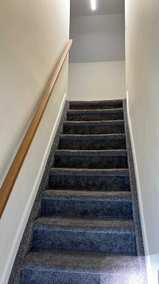 renting - photo 4