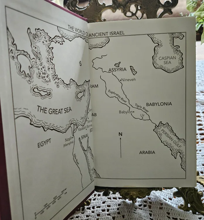 The Story NIV Bible by Max Lucado & Randy Frazee image indicator(7)