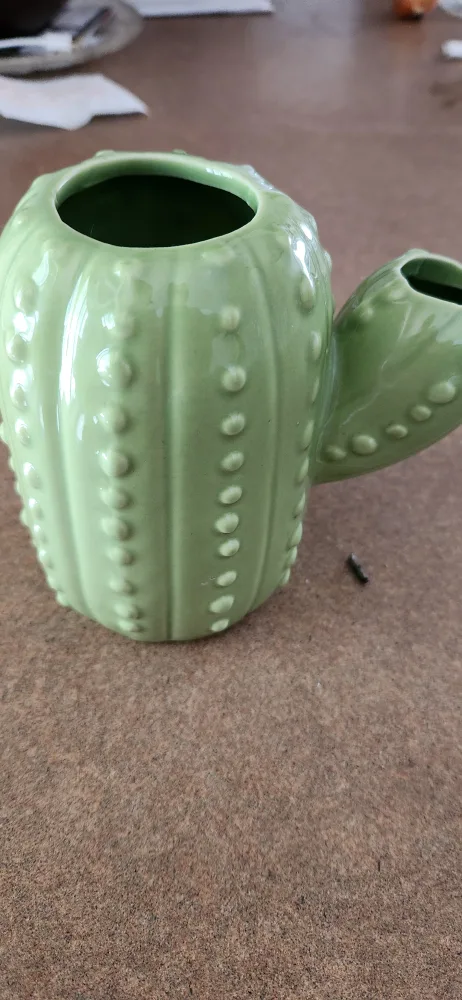 Cactus Shaped Planter��🇨🇦 image indicator(3)