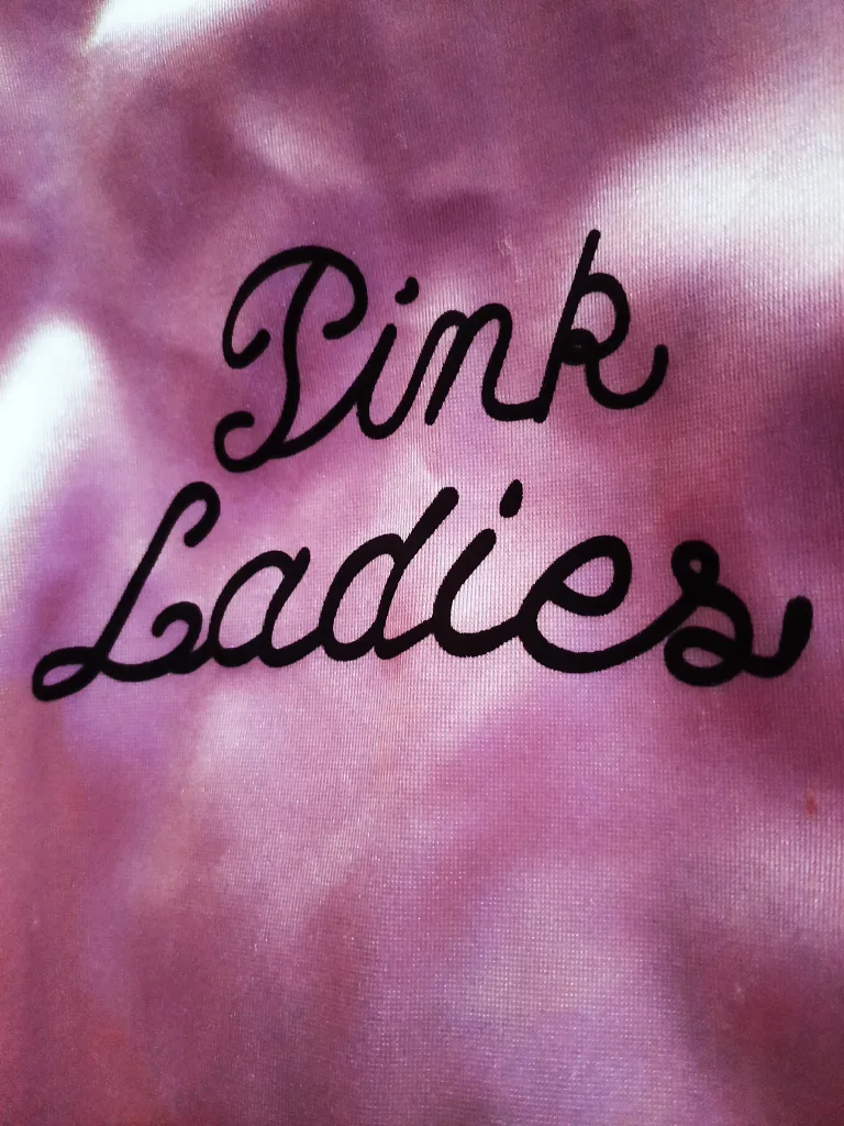 Pink Ladies from Grease the movie! (Sandy) thumbnail