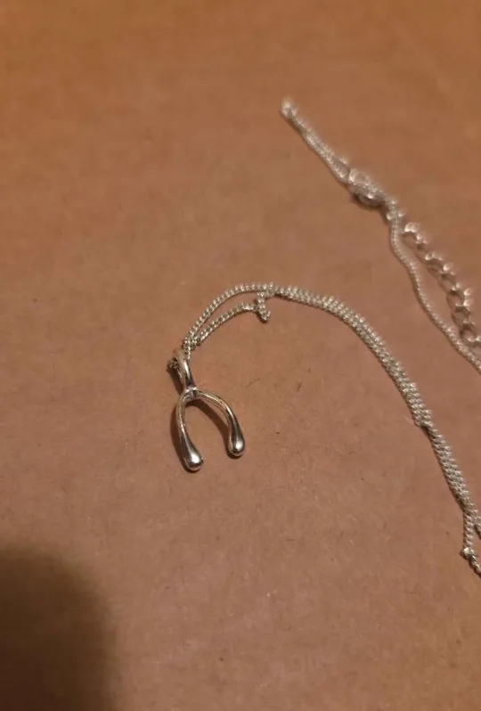 Silver Wishbone Necklace thumbnail