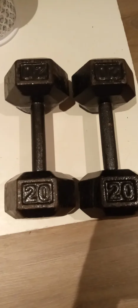 Pair of 20 lb Dumbbells