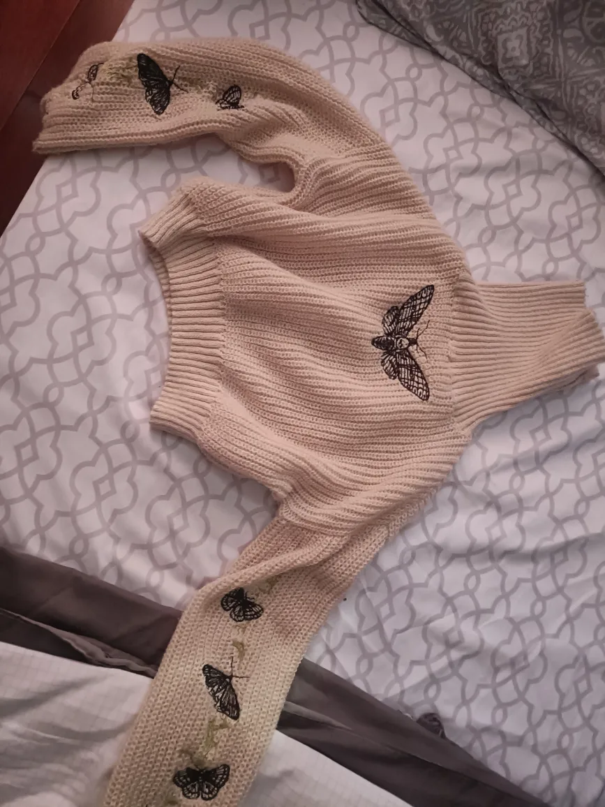 Butterfly Embroidered Knit Sweater thumbnail