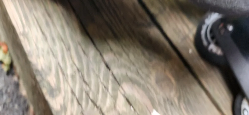 Tacks Inline Roller Skates Size 13.🇨🇦 image indicator(2)