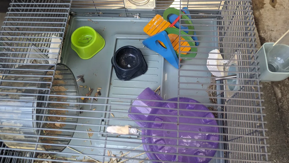 Hamster Cage with Accessories each cage 30.00 image indicator(3)