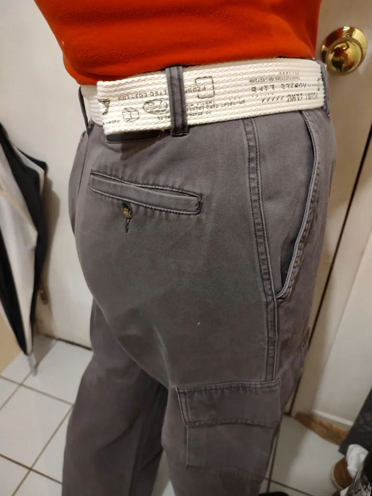 Levi Strauss & Co. Grey Cargo Pants image indicator(3)