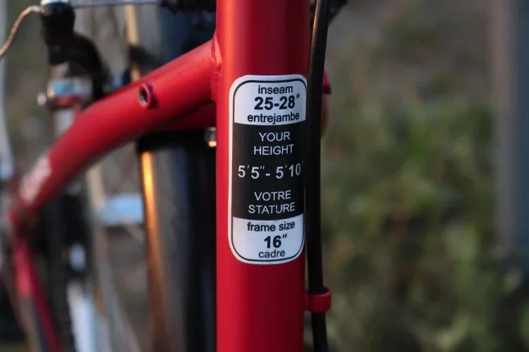 Adult hybrid commuter bicycle image indicator(6)