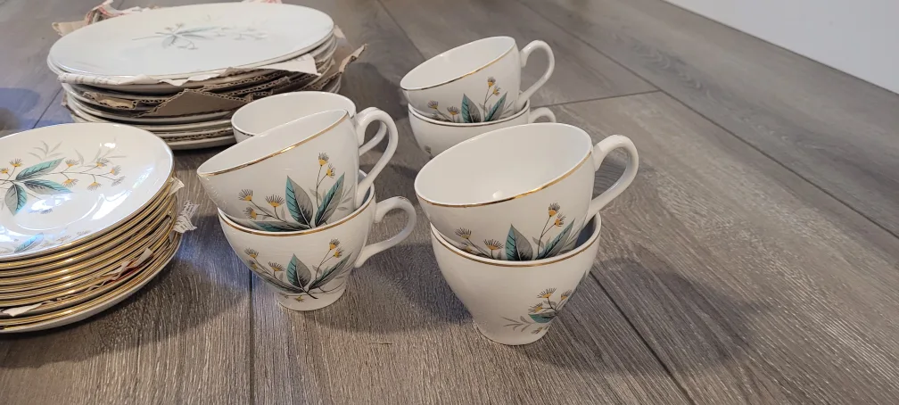 Vintage Swinnertons Straffordsmire China set 55pcs image indicator(5)