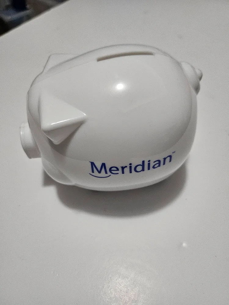 NEW Meridian Piggy Bank 🇨🇦 thumbnail