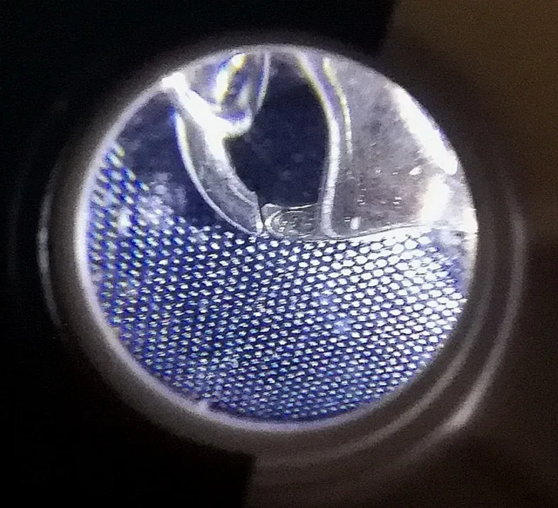 New! Bitter Sweet Sterling Silver Necklace image indicator(9)