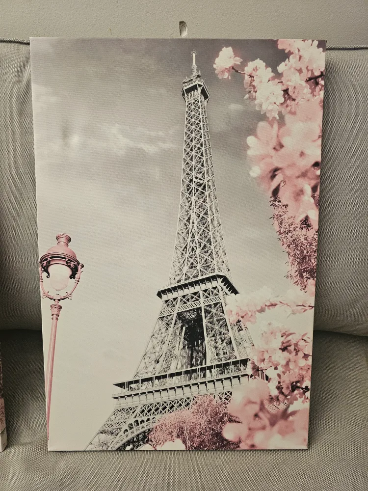 Set of 3 Paris Canvas Wall Art image indicator(4)