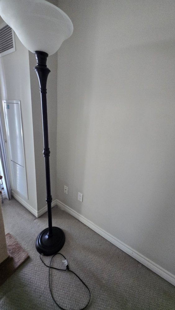 Floor Lamp with Frosted Glass Shade