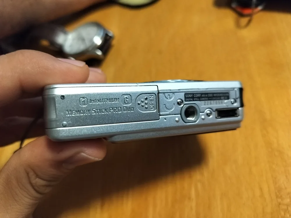 Sony Cybershot DSC-W100 7.2MP Digital Camera image indicator(4)