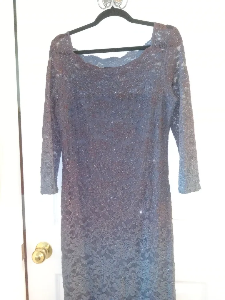 Lace Formal Dress-Size 6 image indicator(3)