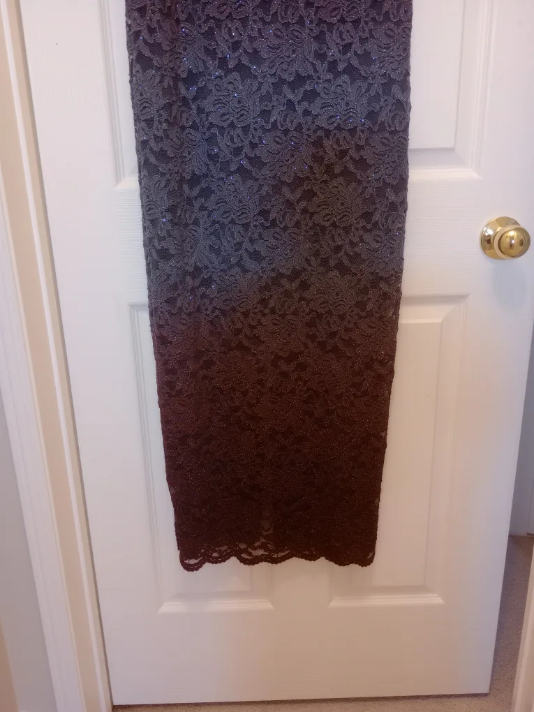 Lace Formal Dress-Size 6 image indicator(7)