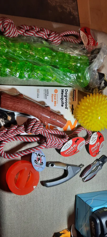 Dog Toys Bundle - Canada Paws, Dogwood, More! 🇨🇦 thumbnail