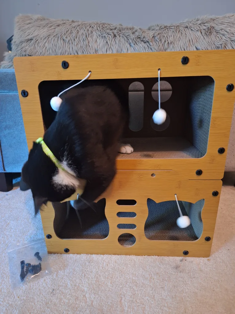 NEW Kitty Cat Play Palace 😻 thumbnail