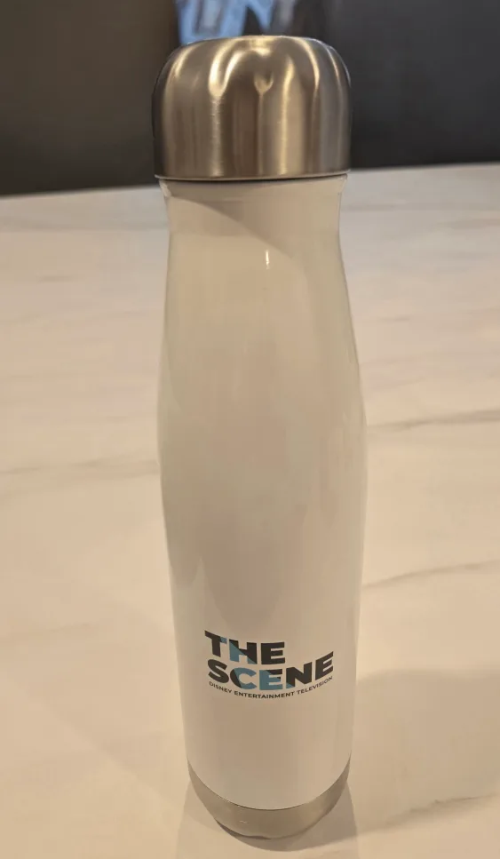 NEW Disney 20th TV Animation – Insulated Stainless Steel Bottle image indicator(2)