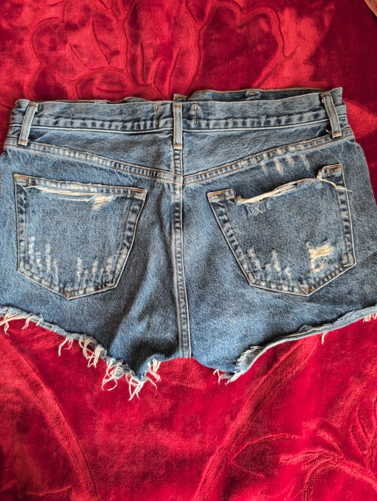 AGOLDE Denim Shorts - Size 28 🇨🇦 image indicator(5)