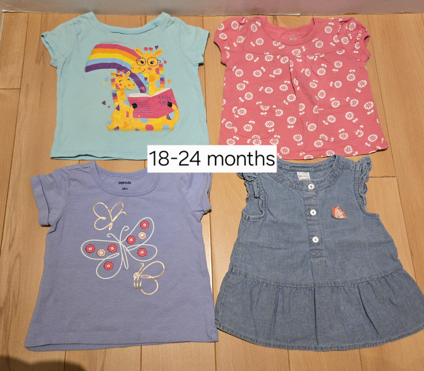 Baby Clothes Summer Short Sleeve Tops Bundle (18-24 Months)