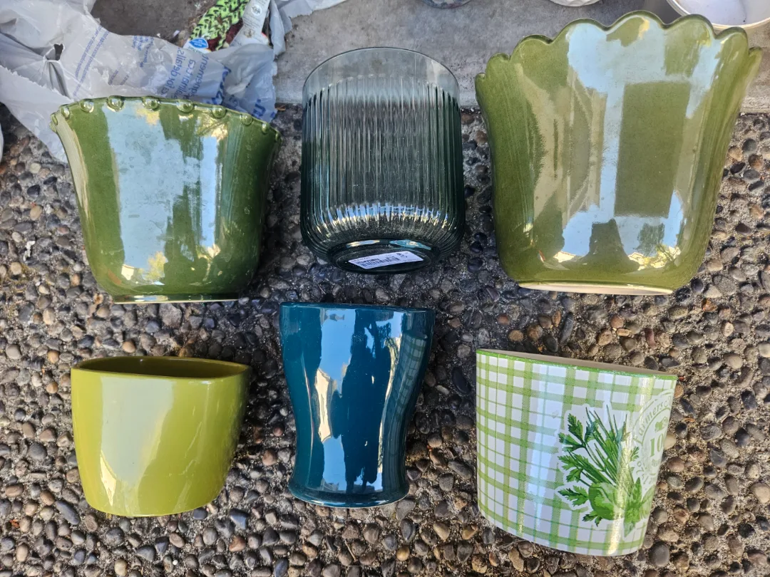Assorted Decorative Flower Pots thumbnail