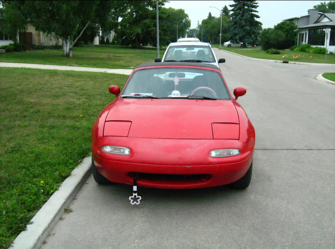 Canon PowerShot A460 image indicator(4)