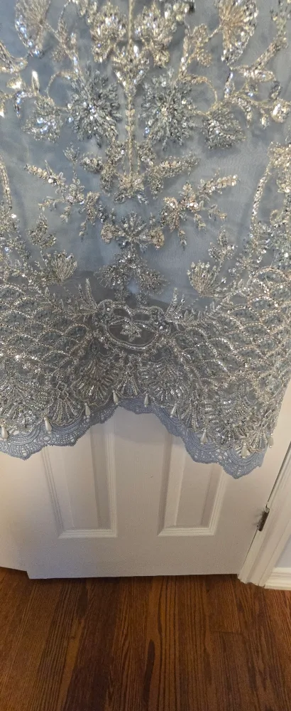 Pakistani Dress AJR Couture image indicator(3)